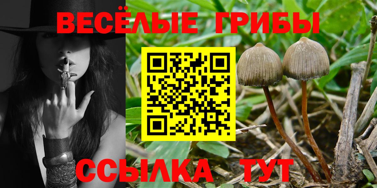 Галлюциногенные грибы мухоморы Нефтекамск
