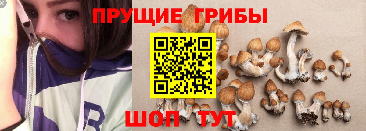 Галлюциногенные грибы Psilocybine cubensis  Вход с VPN  Нефтекамск 